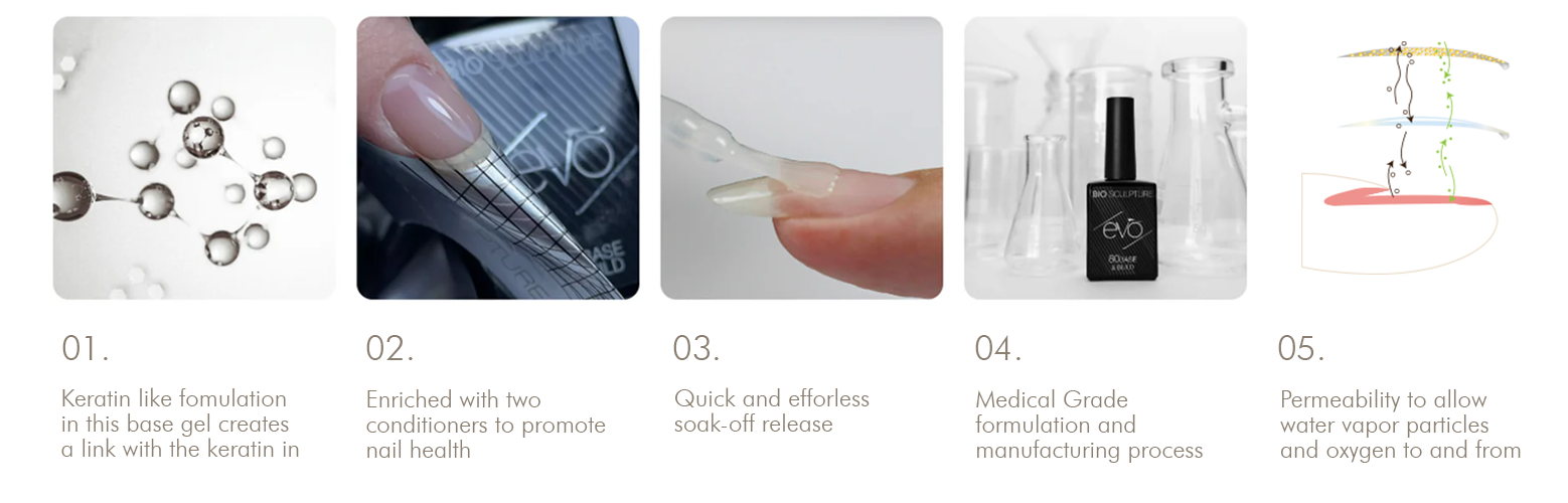 ネイルアート用品(筆など) Bio sculpture APEX BUILDER GEL – Bio Sculpture USA