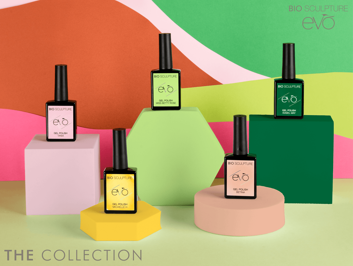 The_Collection_EVO_Websute_Ban The_Collection_EVO_Websute_Ban