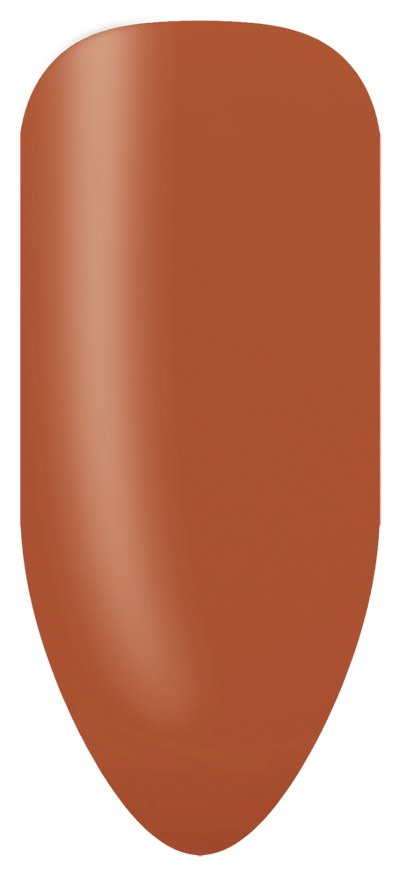 “Swatch of BIOGEL #290 Island Clay, a red-brown crème gel with golden undertone from the Pride of Nature Collection, promoting Bio Sculpture’s professional gel colors.”